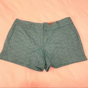 Ann Taylor Shorts